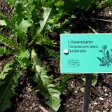 1107G 076 Schloss Seeburg